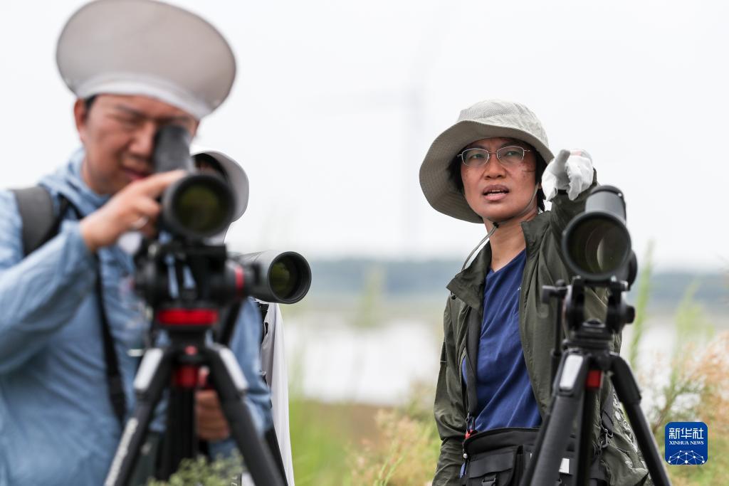 波克捕鱼老版本水浒传